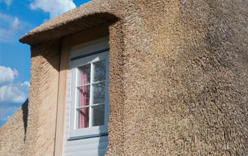 Vauxhall thatch roof disadvantages