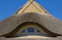Vauxhall thatch roofing